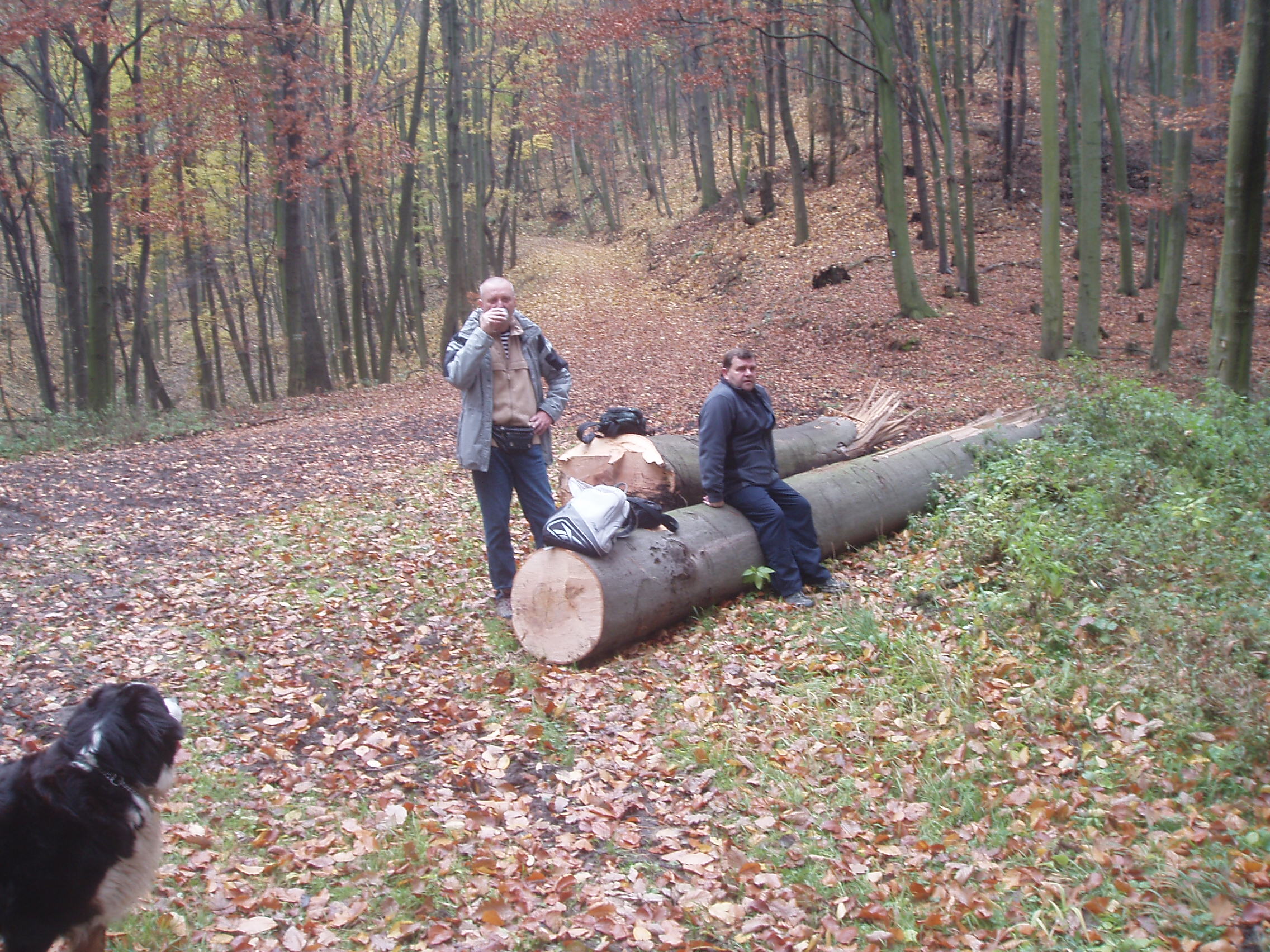 VB09 019.jpg