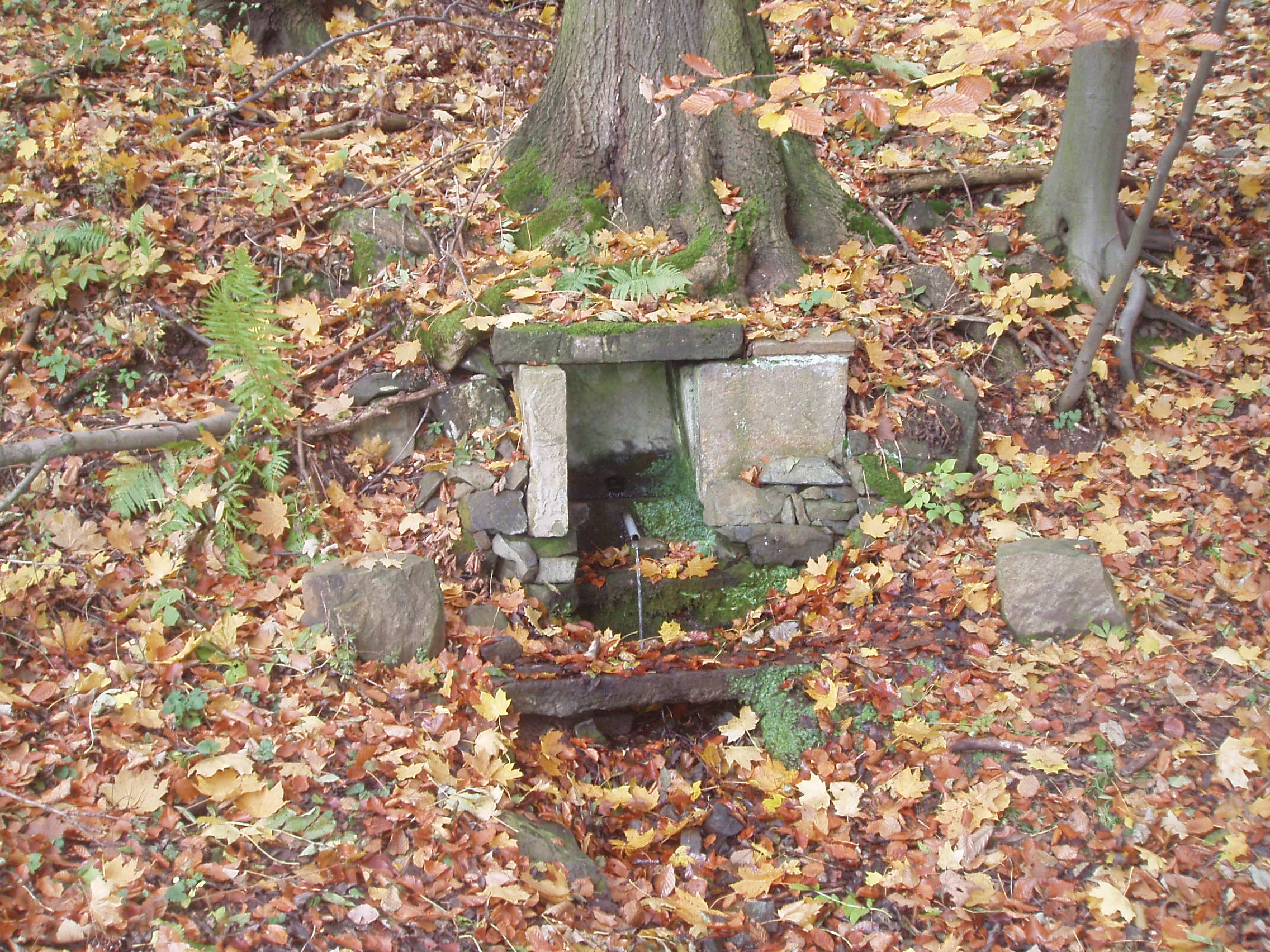 VB09 021.jpg