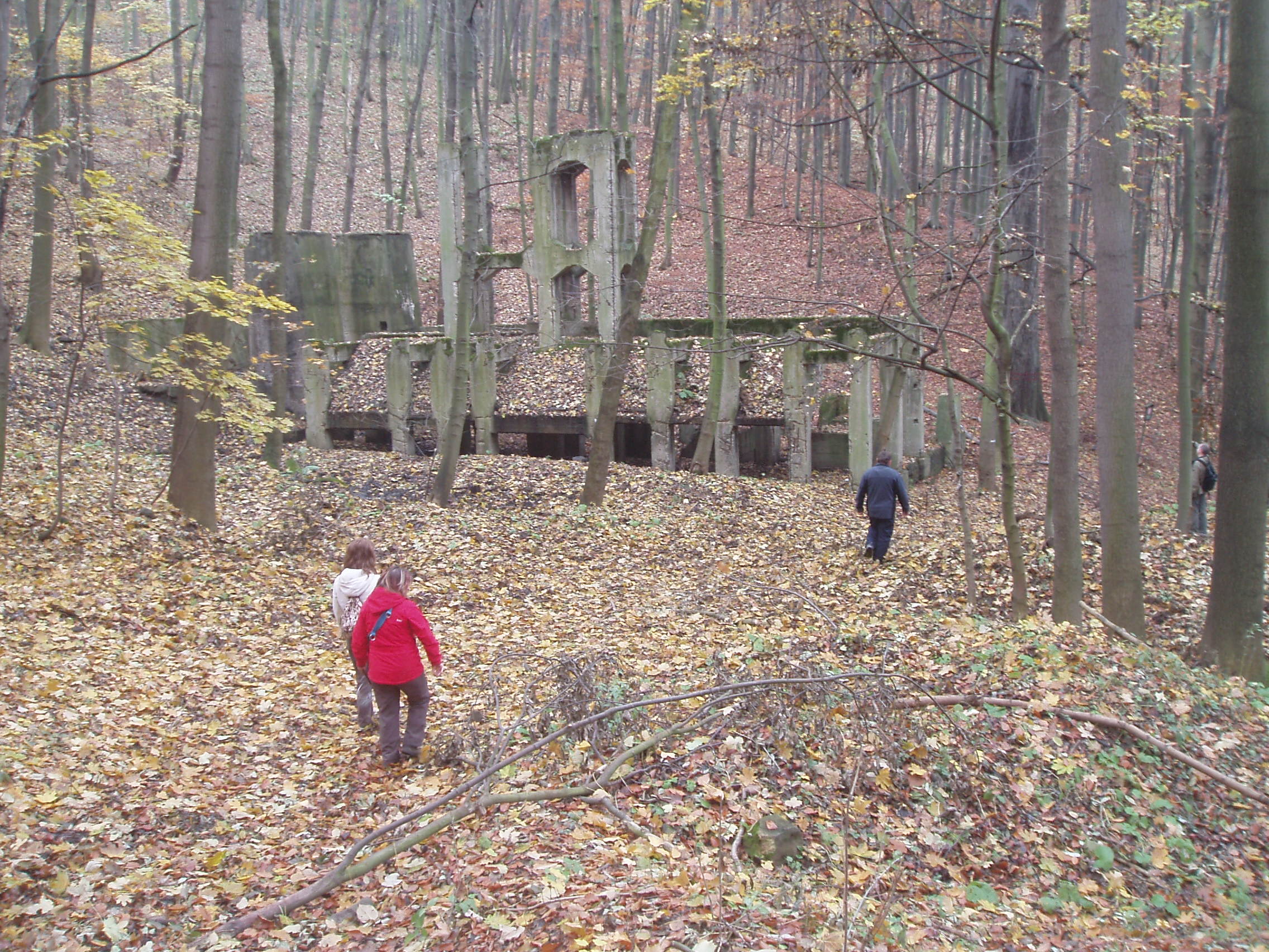 VB09 023.jpg