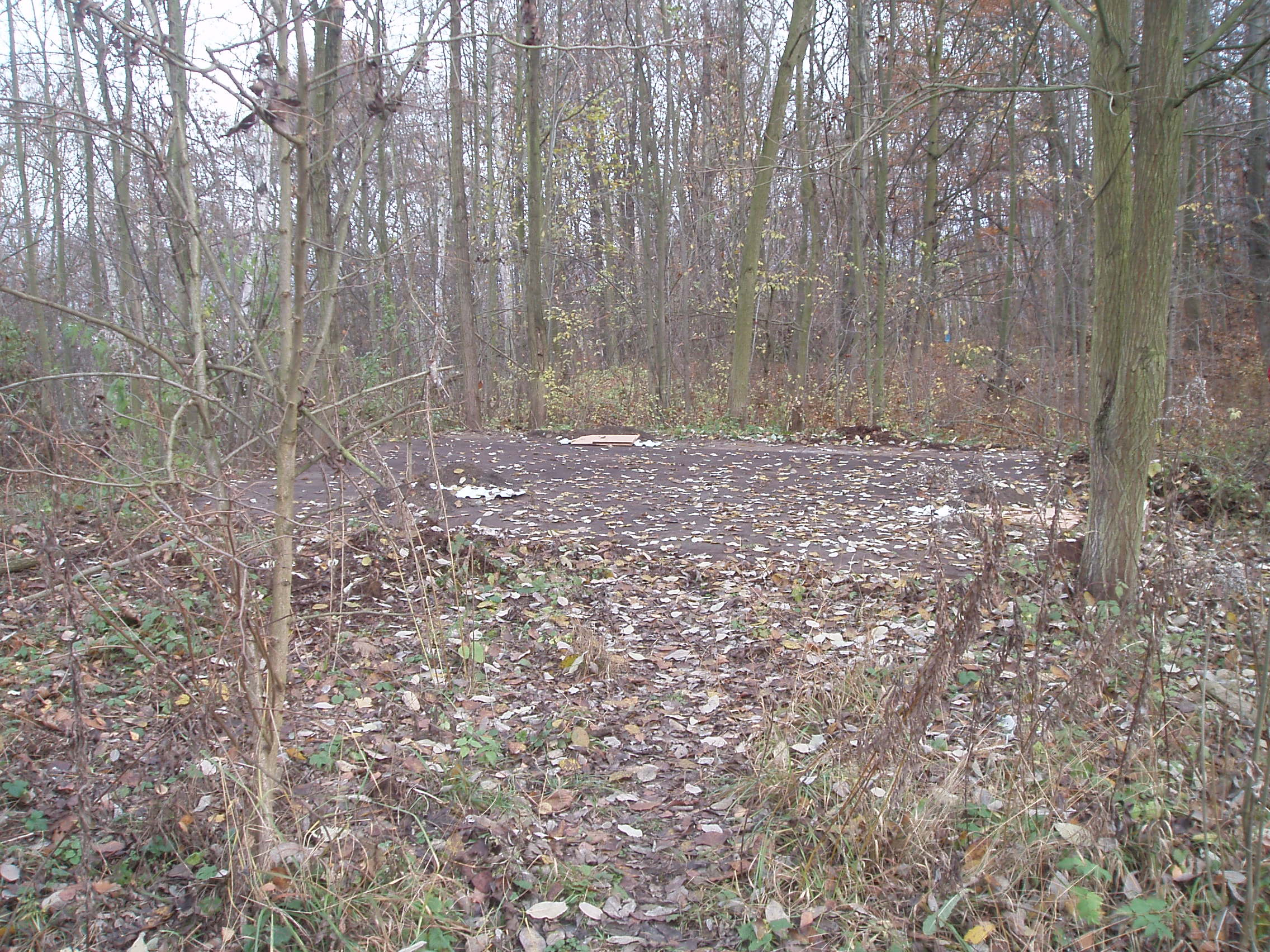 VB09 033.jpg