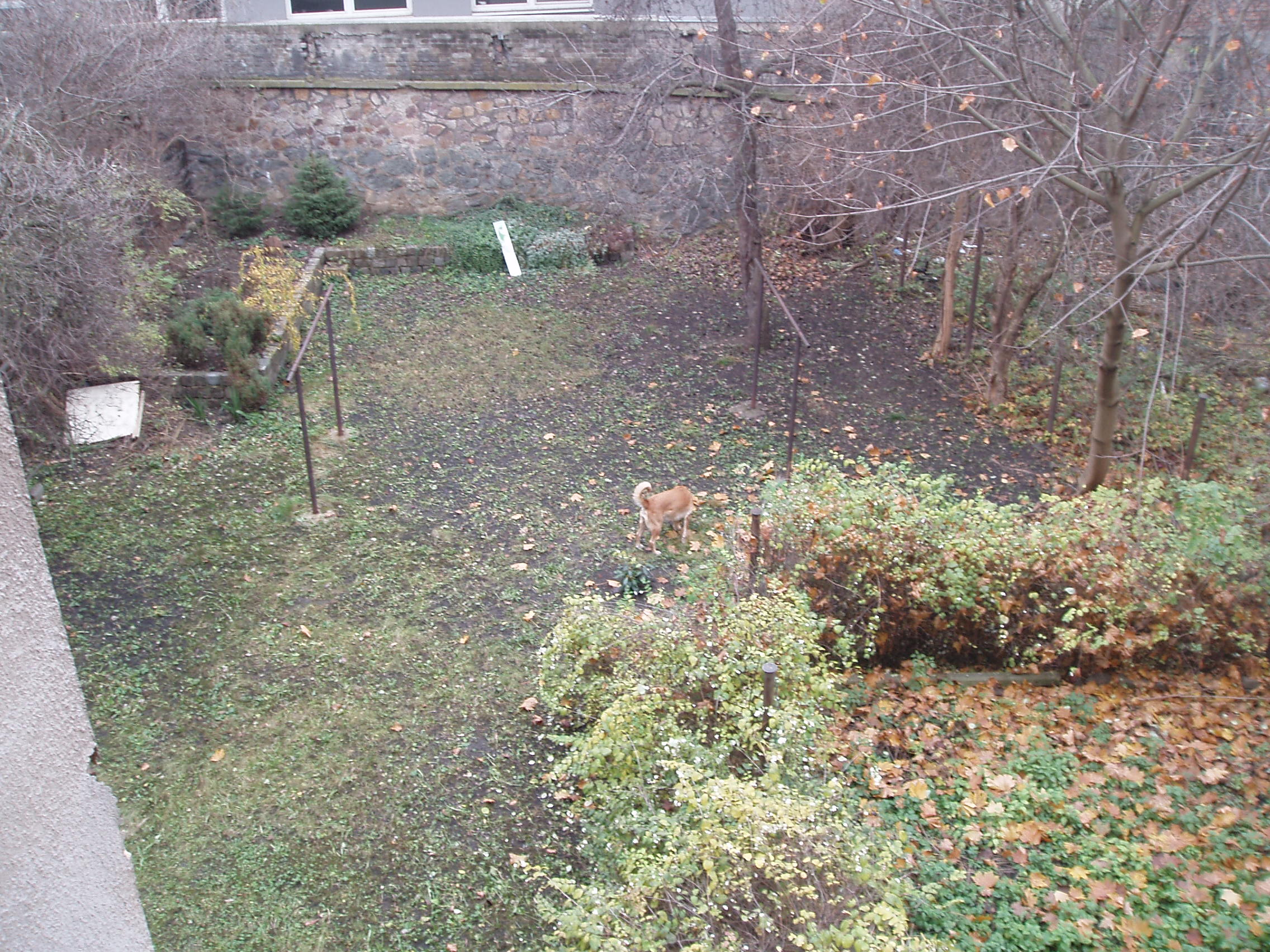 P1010030.JPG