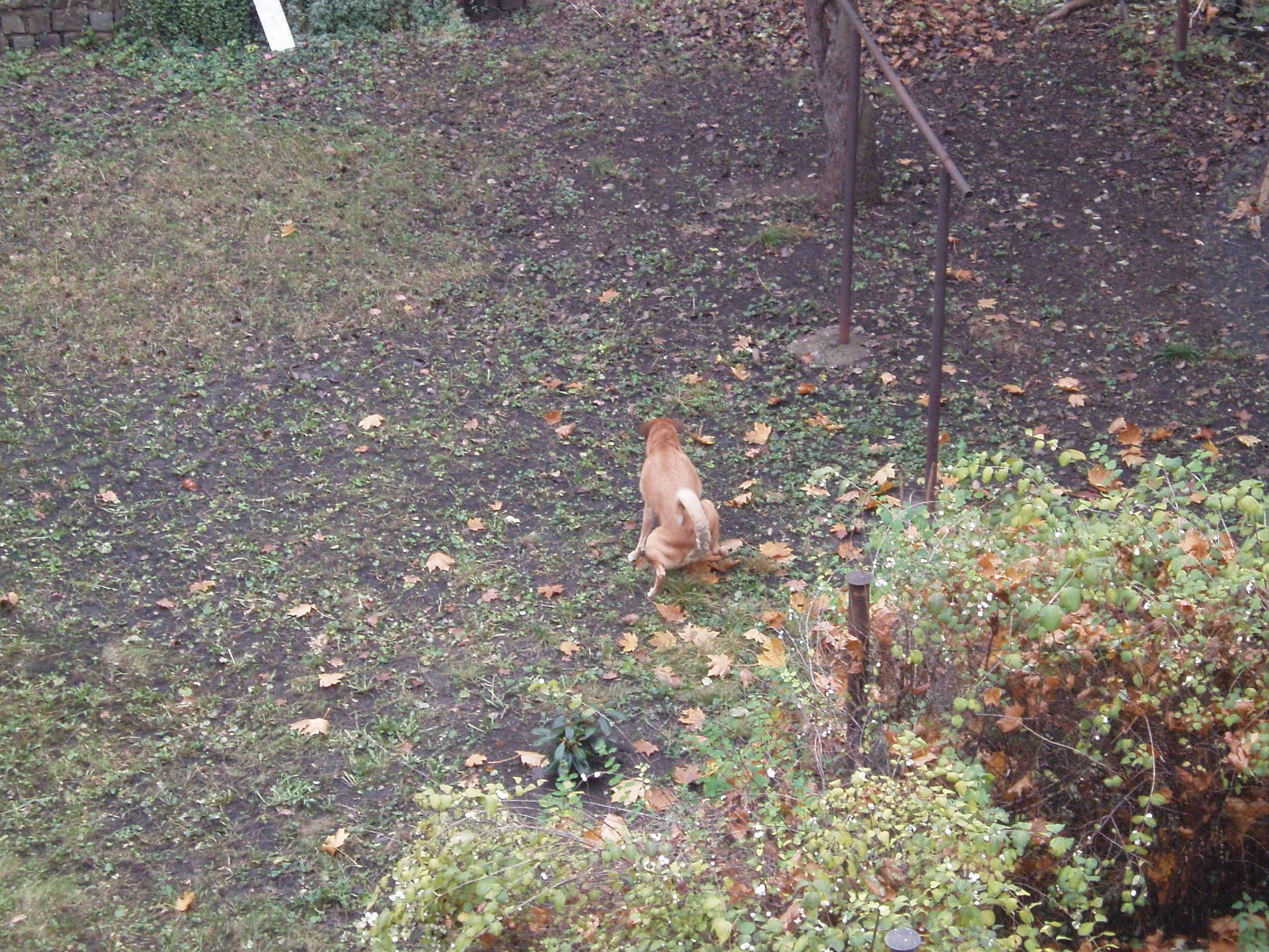 P1010031.JPG