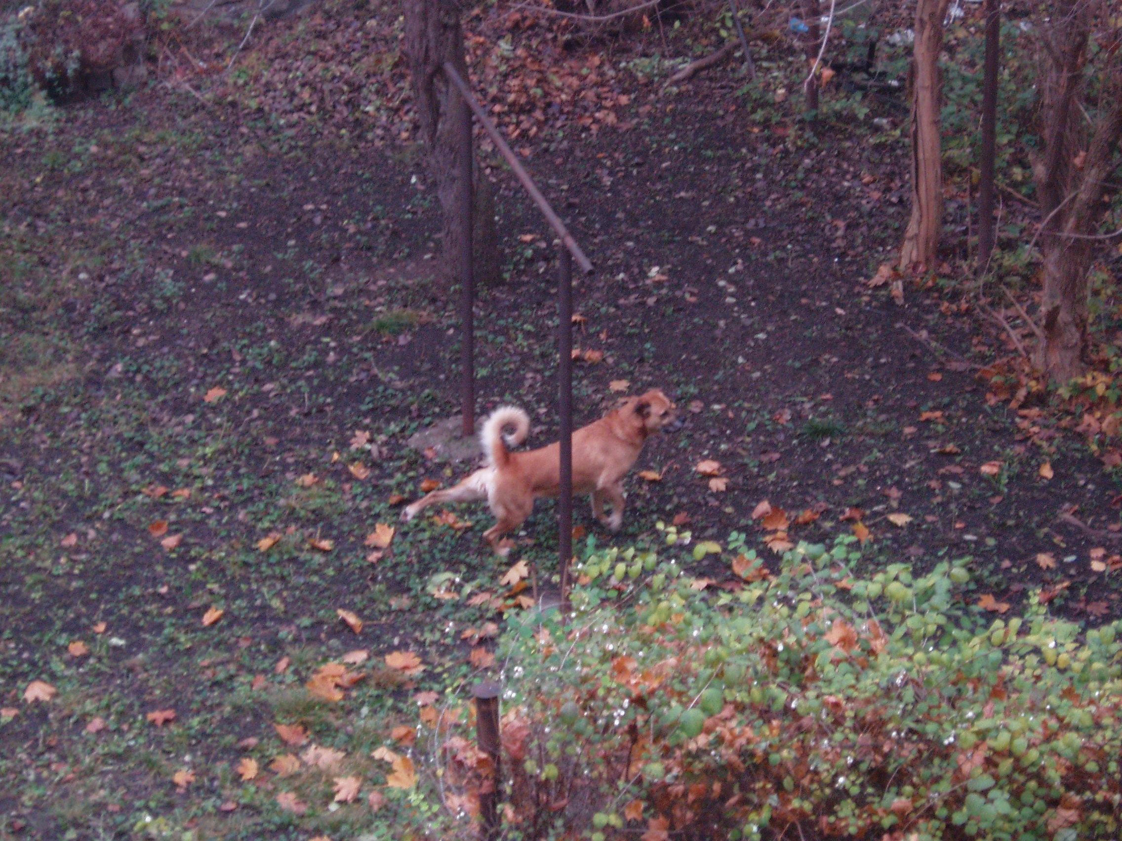 P1010032.JPG
