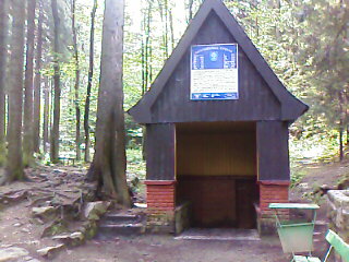 IMAGE_105.jpg