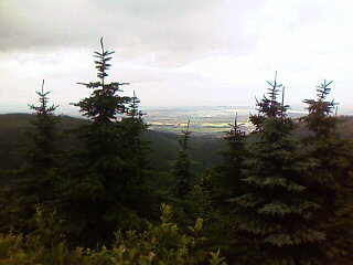IMAGE_107.jpg