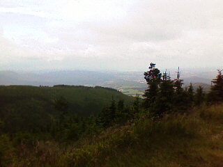 IMAGE_109.jpg