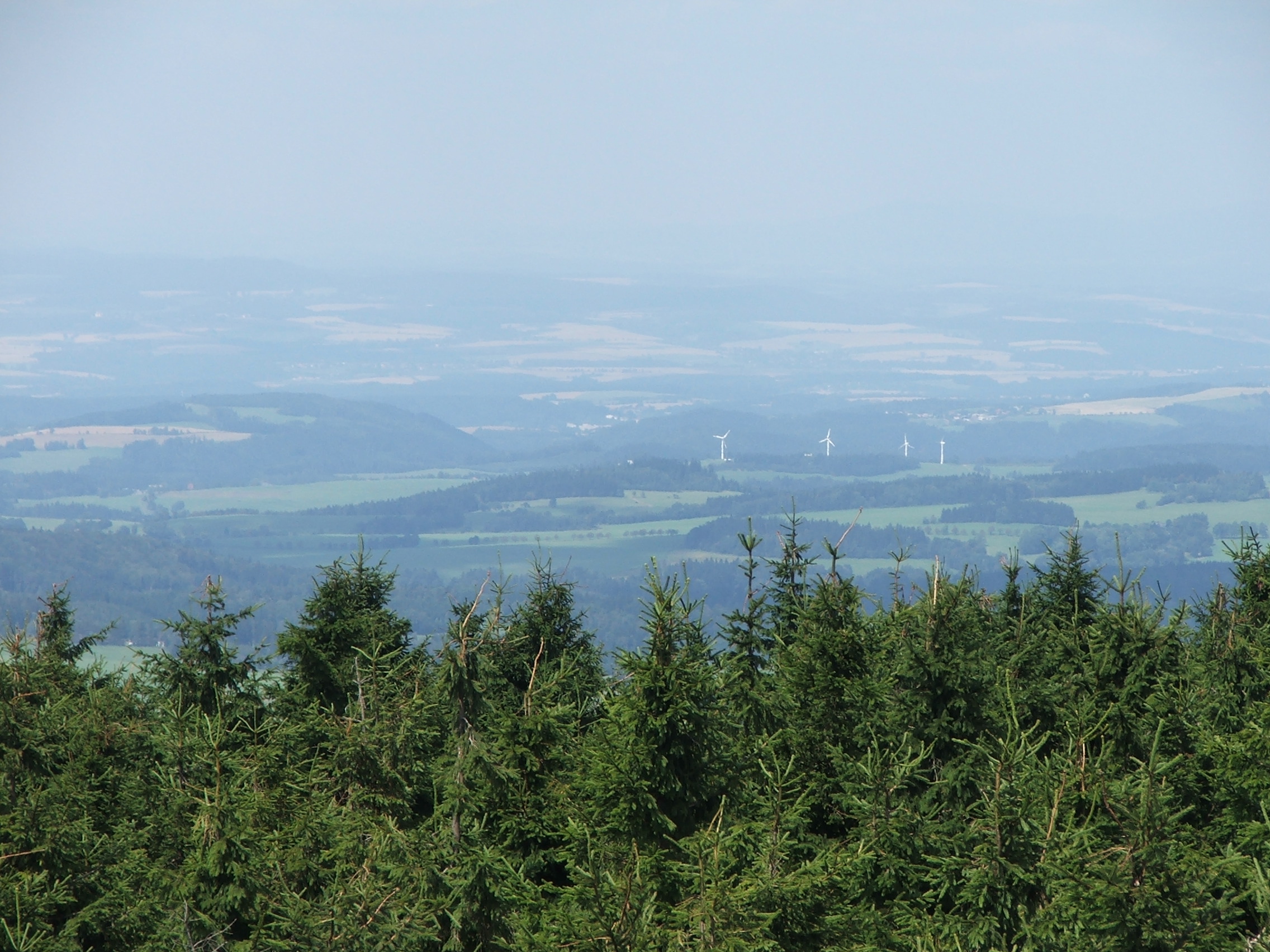 DSCF7899.JPG