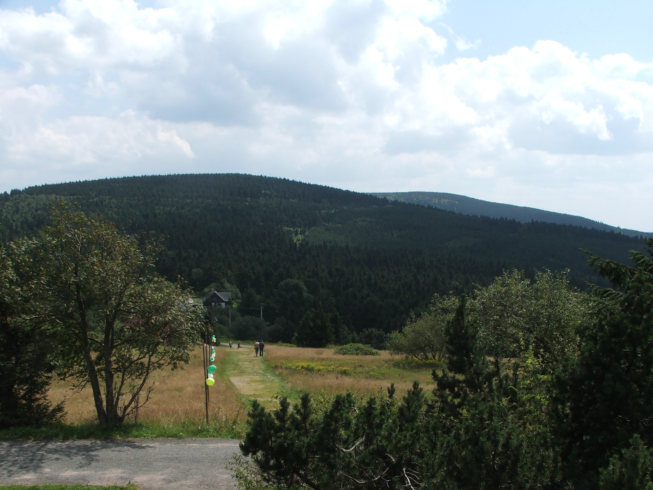 DSCF7911.JPG
