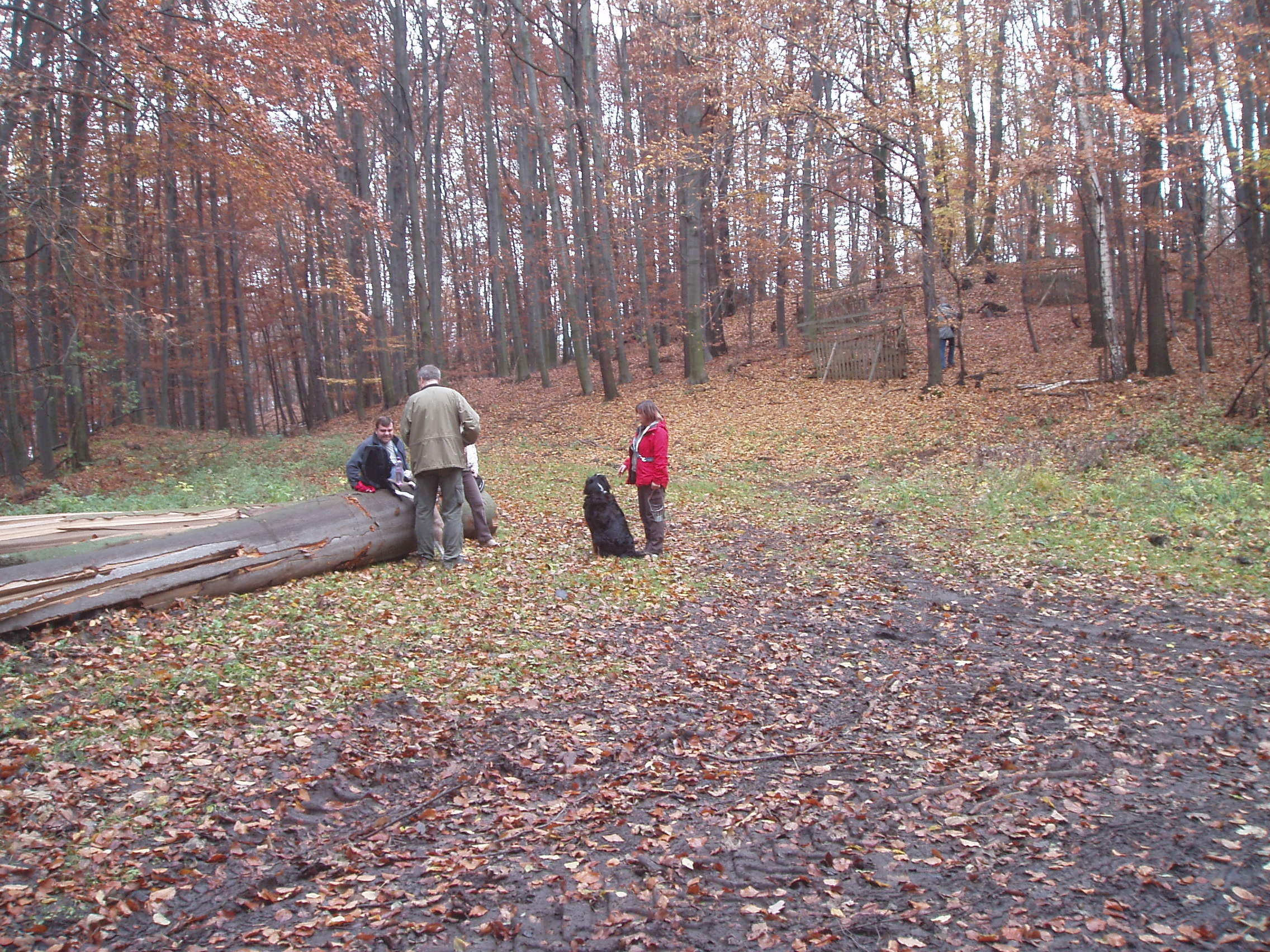 VB09 002.jpg
